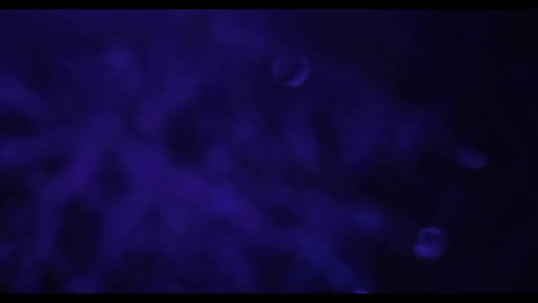 Fuegos Artificiales Púrpuras Dinámica Bokeh Púrpura Cielo Negro Año Nuevo — Vídeo de stock