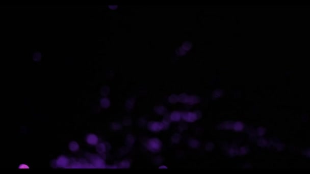 Fuegos Artificiales Púrpura Cielo Negro Reversión Dinámica Bokeh Púrpura Año — Vídeo de stock