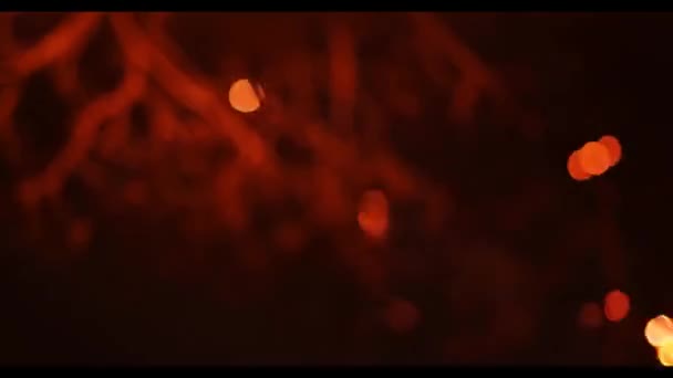 Fuochi Artificio Nel Cielo Notturno Reversion Multicolore Dinamica Bokeh Sfondo — Video Stock