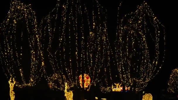 Weihnachtsbäume Girlanden Der Dunkelheit Weihnachtsinstallationen Aus Girlanden Glühende Dekorative Feiertagsobjekte — Stockvideo