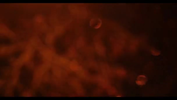 Fuegos Artificiales Cielo Negro Dinámicas Bokeh Festivos Fuegos Artificiales Multicolores — Vídeo de stock