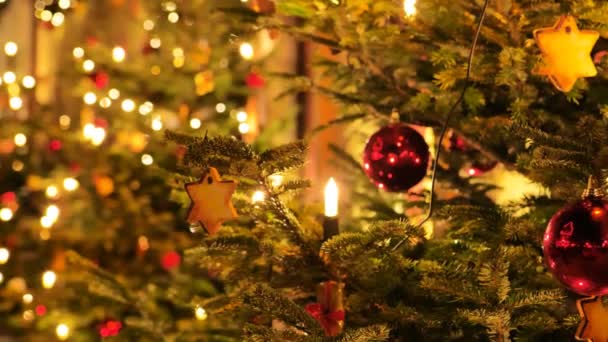 Cidade Natal Árvore Natal Com Bolas Estrelas Pessoas Guirlandas Brilhantes — Vídeo de Stock