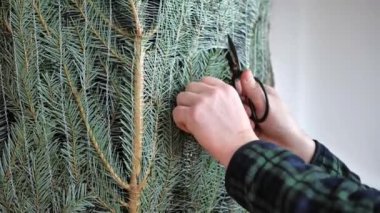 Kış tatili için Noel ağacını açıyorum. Yeni yıl geleneği. 4k görüntü