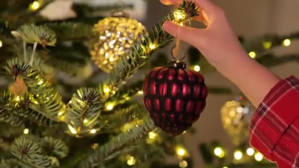 Zdobení Vánoční Stromečky Hands Dát Červené Koule Větve Vánočního Stromečku — Stock video