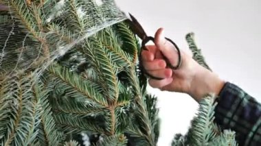 Noel ağacının paketini açarken siyah bir makasla el bir Noel ağacının örgü örgüsünü keser. Yüksek kalite 4k görüntü