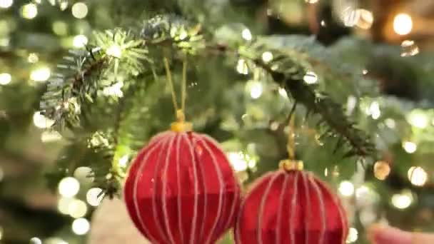 Weihnachtsbaum Spielzeug Weihnachtsbaum Mit Rot Glänzenden Kugeln Hände Legen Rote — Stockvideo