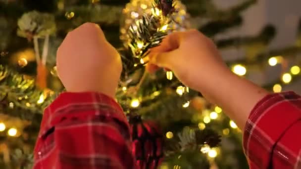 Giocattolo Dell Albero Natale Mani Mettere Palle Rosse Sui Rami — Video Stock