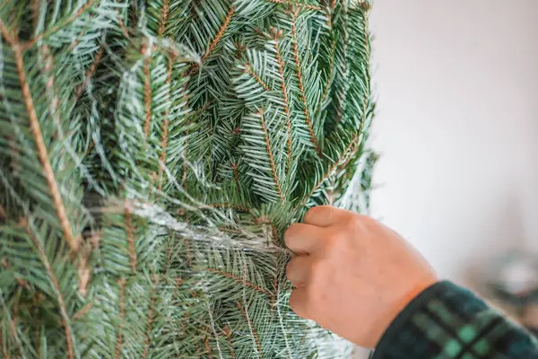 Noel ağacını açıyorum. Noel ağacının ambalaj ağını kesiyorum. Yeşil ekose gömlekli adam ambalaj ağını kesiyor. Kutlama ritüeli..