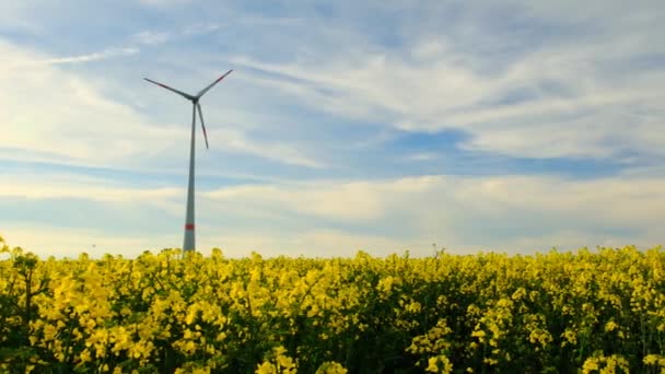 Generatore Eolico Campo Colza Panoramico Biocarburante Energia Verde Movimento Lento — Video Stock
