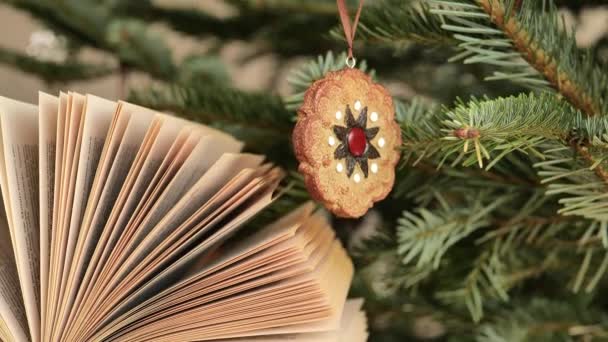 Χριστουγεννιάτικα Και Πρωτοχρονιάτικα Βιβλία Ανοιχτό Βιβλίο Για Φόντο Χριστουγεννιάτικο Δέντρο — Αρχείο Βίντεο