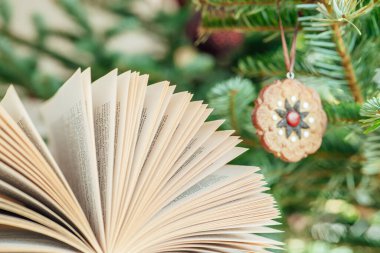 Noel ve Yeni Yıl kitapları. Sade kitap. Noel ve yeni yıl için tatil kitapları. Noel ağacı arkaplanı üzerine açık bir kitap. Noel ve kış temaları hakkında kitaplar.