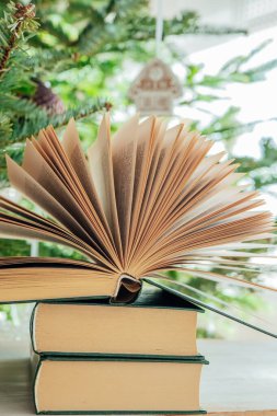 Kış okuması. Noel ve yeni yıl için tatil kitapları. Noel ağacı arkaplanı üzerine açık bir kitap. Noel ve kış temaları hakkında kitaplar.