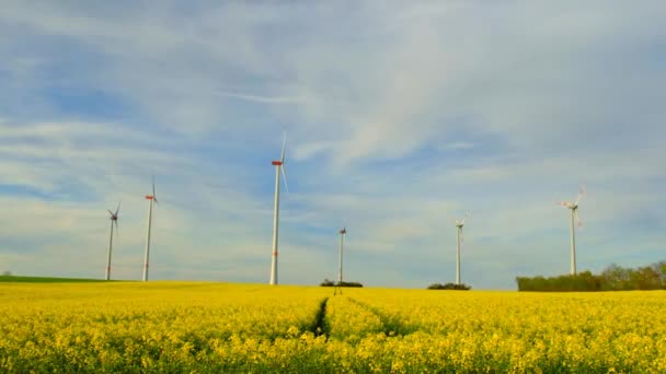 Windmills Group Rapeseed Field Βιοκαύσιμα Και Πράσινη Ενέργεια Έννοια Αργή — Αρχείο Βίντεο