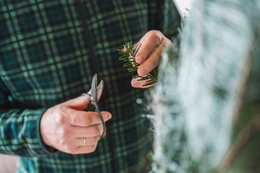 Noel ağacı açma işlemi. Bavulları açıp Noel ağacını hazırlamak. Kutlama ritüeli..