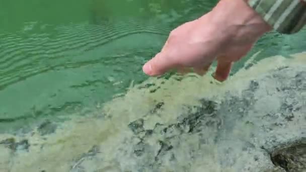 Água Limpa Mão Coleta Água Limpa Rio Montanha Filmagem — Vídeo de Stock