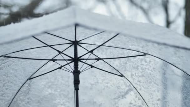 Padající Sníh Deštník Pokrytý Sněhem Zimním Lesním Pozadí Pomalý Pohybu — Stock video