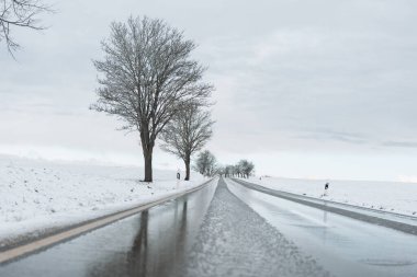 Yol boyunca kardaki ağaçlar. Yoldaki buz. Kaygan kış yolu. Kış güzel manzara. Kışın yollar tehlikeli. 