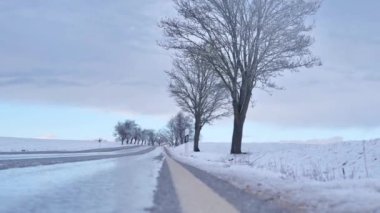 Kaygan kış yolu. Kış yolu. Yol boyunca kardaki ağaçlar ve güzel mor bir gökyüzü. Yol trafiği. 4k görüntü