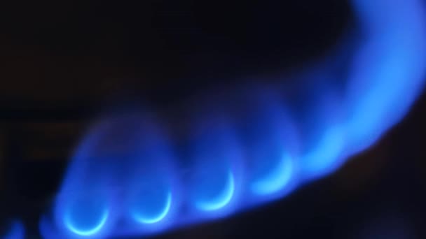 Tło Gazu Palnik Gazowy Zbliżenie Niebieskiego Płomienia Oszczędności Gazu Materiał — Wideo stockowe