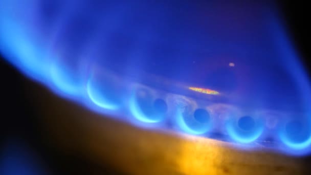 Plynový Hořák Modrý Plamen Zblízka Nedostatek Plynu Nákupy Úspory Plynu — Stock video