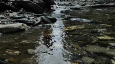 Kayalık bir dağ nehrinin akışı ve soğuk mevsimde düşen kar. Avusturya. 4k görüntü