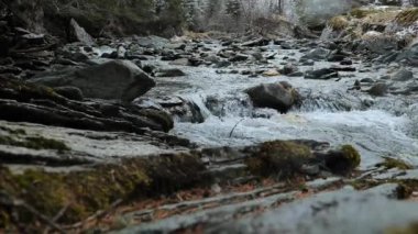 Bulutlu ve soğuk bir havada dağ nehri. Taşlar, kayalar ve akan sular. 4k görüntü