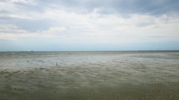 Wadden Deniz Kıyısı Bulutlu Gökyüzünün Altında Deniz Dibi Gelgit Zamanı — Stok video