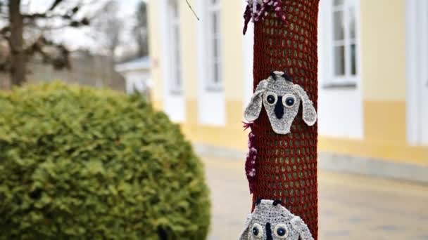 Yarn Bombing Trees Knitted Decorations Tree Trunks Sheep City Street — Vídeos de Stock