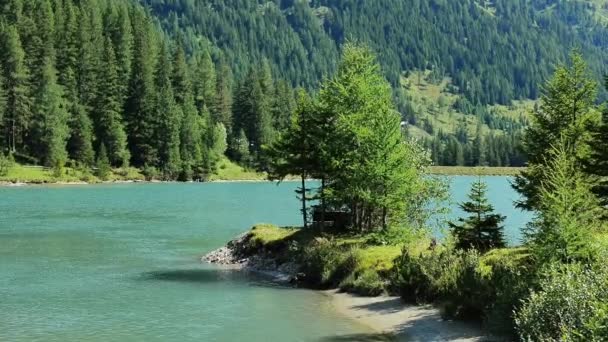 Schlierersee Austria Green Νερό Της Λίμνης Και Των Δέντρων Κατά — Αρχείο Βίντεο