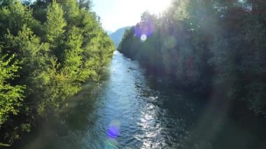 Güneşin ışınları ve parıltısıyla çalıların arasından akan sakin dağ nehri. Sakinleştirici su ve güneş ışığı. Güzel doğa ve huzur. 4k görüntü
