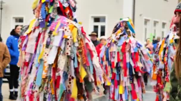 Carnevale Costumi Spettatori Strade Della Germania Durante Carnevali Invernali Febbraio — Video Stock