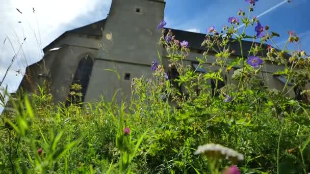 Eglise Saint Léonard Prairie Fleurs Herbes Sur Fond Ciel Bleu — Video
