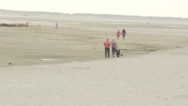 Slechte Vakantie Mensen Lopen Langs Het Witte Strand Aan Kust — Stockvideo