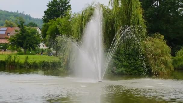 池塘上的喷泉 池塘上的喷泉 池塘上的喷泉 慢动作柳树池塘中央的一个涌出的喷泉 周围有柳树 — 图库视频影像