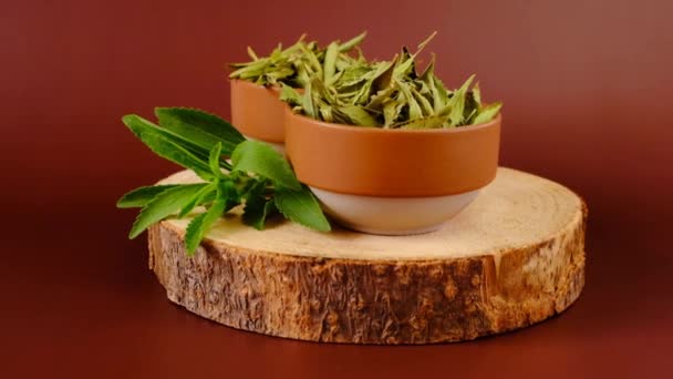 Stevia Rebaudiana植物 野菜の甘味料 茶色の背景に丸い陶磁器のボウルで新鮮で乾燥した葉を介して ステビア抽出物 外的な低カロリー野菜甘味料 4K映像について — ストック動画