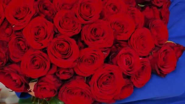 Червоний Букет Троянд Руках Жінки Червоні Троянди Букет День Святого — стокове відео