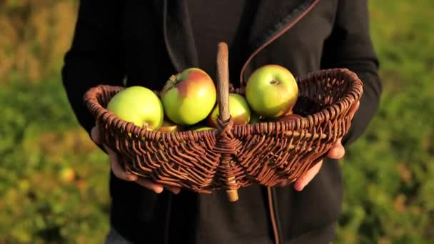 Кошик Яблуками Руках Фермера Осінній Урожай Яблук Фермер Тримає Плетений — стокове відео