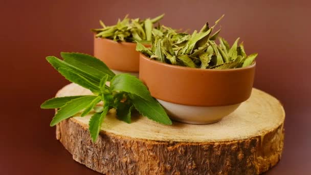Stevia Taze Kuru Yaprakları Yuvarlak Kaselerde Sebze Tatlandırıcı Stevia Özütü — Stok video