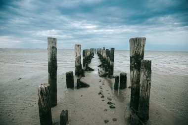 Deniz fotoğrafı duvar kağıdı. Bulutlu bir günde eski tahtadan yapılmış bir iskele denizde. Wadden Deniz Kıyısı ve ahşap sütunlar. Gelgit zamanı..