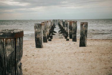 Wadden Sea Coast and wooden pillars in the sea. Old wooden pier on a cloudy day.sea photo wallpaper. Low tide time. clipart