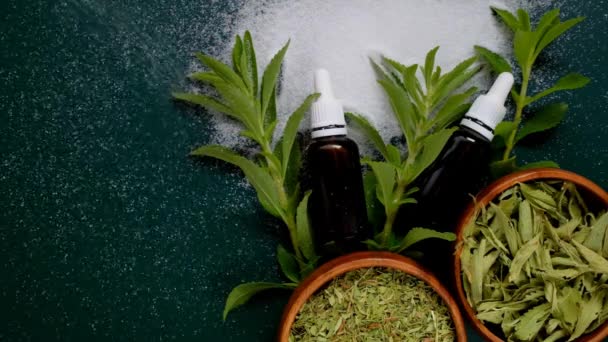 Stevia Pflanze Trockenes Flüssiges Und Pulverförmiges Stevia Auf Dunkelgrünem Hintergrund — Stockvideo