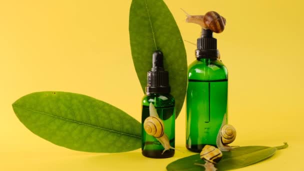 Snail Mucin Cosmetic Сыворотка Экстрактом Улитки Стеклянной Бутылке Зелеными Листьями — стоковое видео