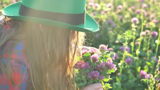 セントパトリックスデー 晴れたクローバーフィールドでクローバーの花束でループレシャン帽子でガール 聖パトリックのお祝い 幸運のシンボル アイルランドの伝統的な春の休日のシンボル 4K映像について — ストック動画