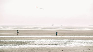 People fly a kite on the seashore.Wadden Sea Coast.Frisian Islands.Fer Island.Germany.Kites and people walking on the white sandy sea beach.Flying kites on the seashore. clipart
