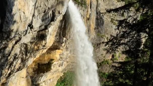 Potente Flusso Una Cascata Una Pineta Montagna Sfondo Cascata Acqua — Video Stock