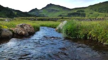Dağ nehri çimleri ve dağlar. Su akışı ve güzel dağ manzarası. Güzel dağ manzarası. 4k görüntü