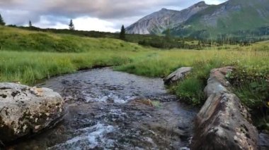 Dağ nehri çimleri ve dağlar. Güzel dağ manzarası. Su akışı ve güzel dağ manzarası. 4k görüntü