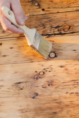  hand paints wooden boards.Oil and varnish for wood. Impregnation of a wood with protective oil. Impregnation of wood with oil.Protecting the wooden surface from damage. clipart