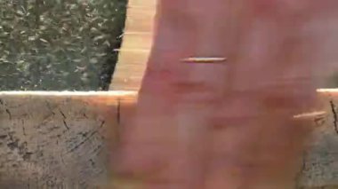 Kum kerestesi. Güneş ışınlarında elleri kum tahtası. İnsanlar kum tahtalarını tozun ortasında, yakın çekim görüntüsüyle ele geçiriyorlar. Zımpara kağıdıyla ahşabı işliyorlar. 4k görüntü