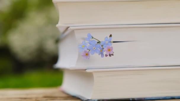 Livros Primavera Esqueça Nots Livros Pilha Livros Azul Esqueça Não — Vídeo de Stock
